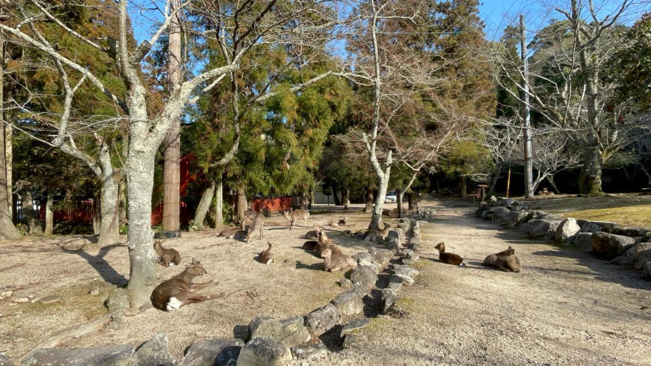 Hotel Miyajima Morinoyado Hacukaiči Exteriér fotografie