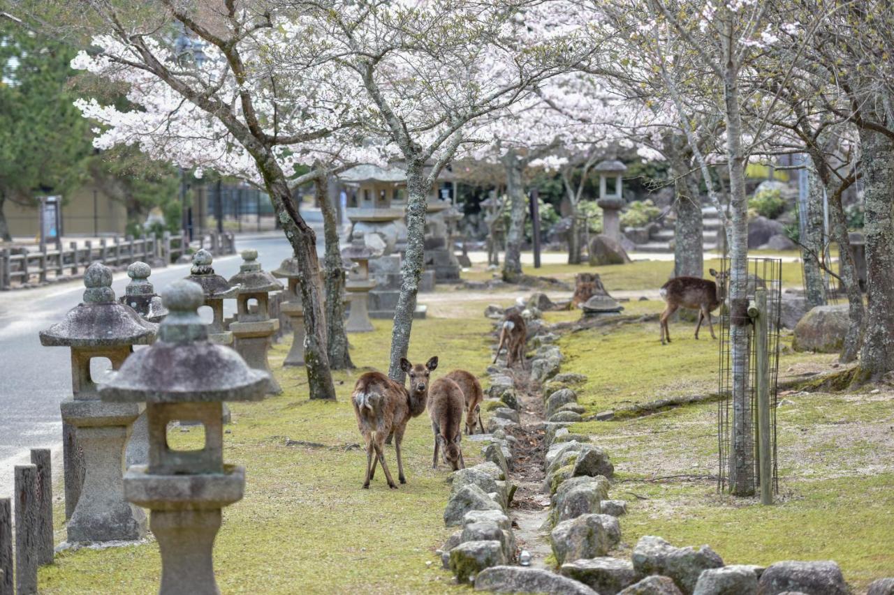 Hotel Miyajima Morinoyado Hacukaiči Exteriér fotografie