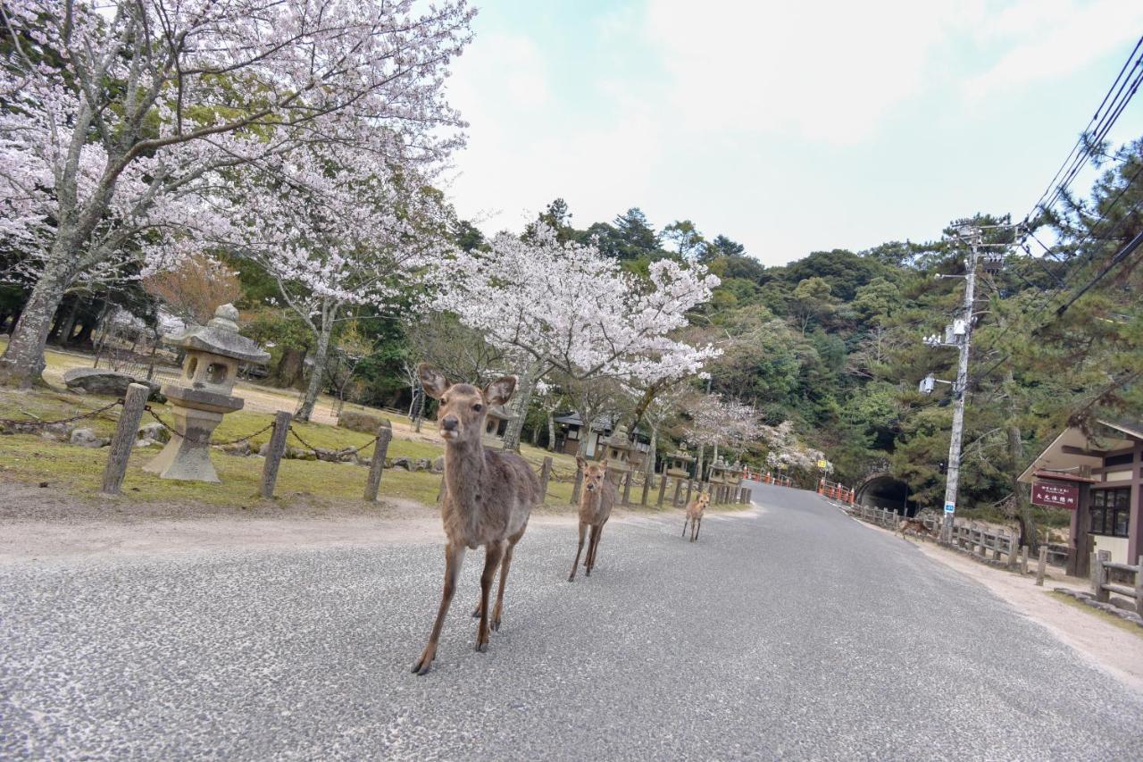 Hotel Miyajima Morinoyado Hacukaiči Exteriér fotografie